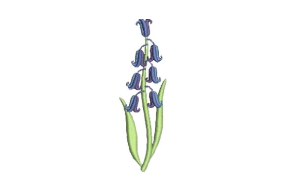 Bluebell: A Springtime Embroidery Design Review for Seasonal Creations