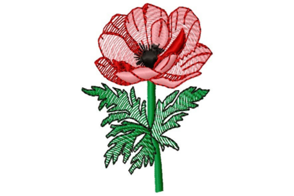 Sketched Poppy: A Floral Favorite for Personalized Gifts